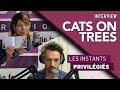 Capture de la vidéo Cats On Trees Interview Hotmixradio