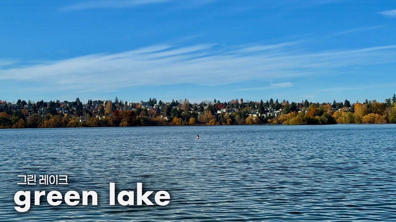Joe and the green lake | 시애틀 그린 레이크 산책, 빈티지샵 구경