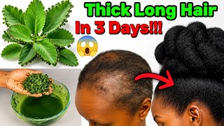 I Stopped Rinsing This Out! my Hair Doubled In Weeks! 1 INGREDIENT For Extreme Hair Growth!