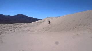 Running Down Kelso Dunes