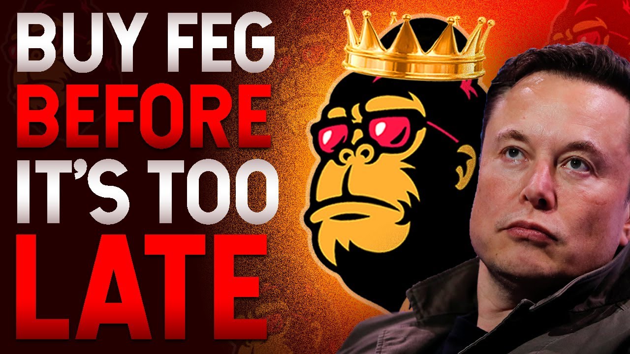 Why You Need To Buy FEG Token Before It's Too Late! This Will Explode!