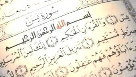 سورة يس - تلاوة مبارك المري