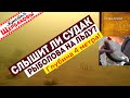 Слышит ли судак рыболова на льду? Подводные съемки…