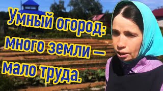 Умный огород: много земли – мало труда.