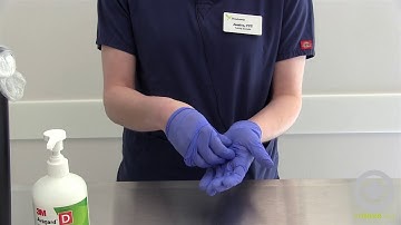 How to Properly Remove Exam Gloves