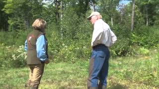 Elhew Pointers and Hampshire Kennels Elhew Pointers and Hampshire Kennels