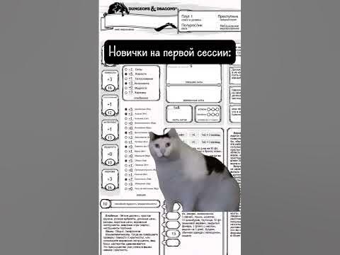 DnD. Трутница? Бурдюк? ШЛЯМБУРЫ?? - YouTube