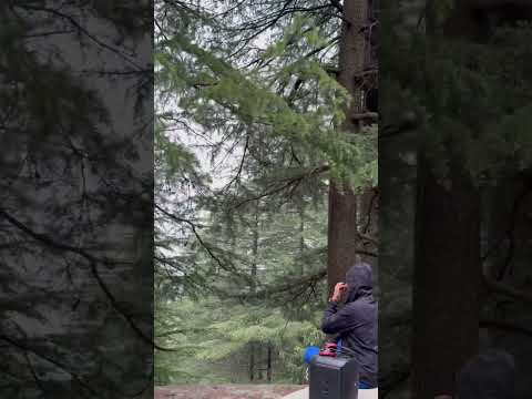 Pranayama in mountains 🧘