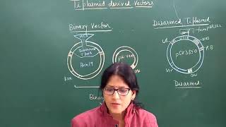 M.Sc. (f)Botany Dis-armed &binary vector