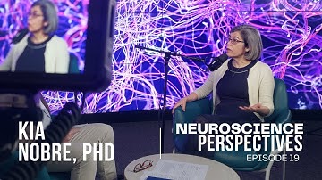 How are the brain systems that support adaptive human cognition and behavior organized?