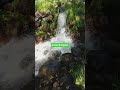 My Arizal Budgam #nature #naturalbeauty #hiddenkashmir #trending #youtubeshorts #viralvideo #viral
