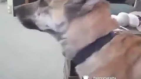 5 de junio de 2018