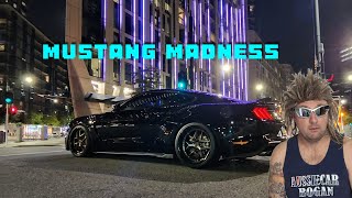 My Monster Mustang Build