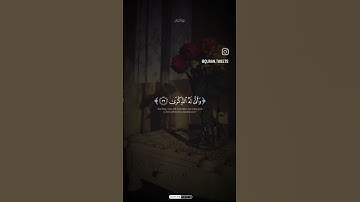 تلاوة القرآن الكريم                        |(4)