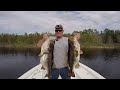 Top 5 biggest bass ever caught compilation