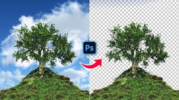 How to Remove Tree Background in Adobe Photoshop | Photoshop Beginner Tutorial 2025