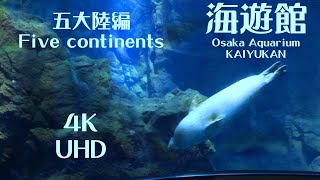 【水族館】海遊館  五大陸編 コツメカワウソもイルカもゴマフアザラシもかわいいぞ【Trip Vlog 019】RF24-105㎜ F4 L IS USM