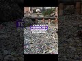What Is Environment Engineering #envi ronment#engineering