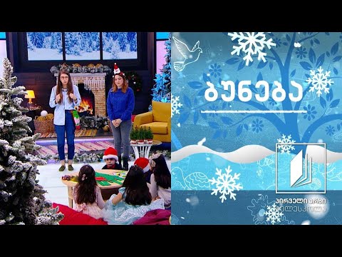 ბუნება - ნაძვის ხის ისტორია და სანტას ჯადოსნური წერილი #ტელესკოლა