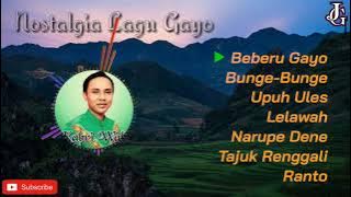 Lagu Gayo Pilihan II Kabri Wali