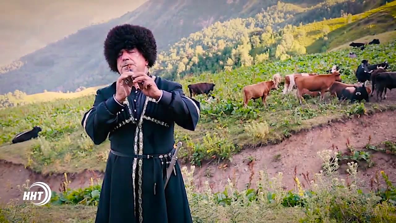 ДИДОЭТИЯ - что о ней знают Люди™