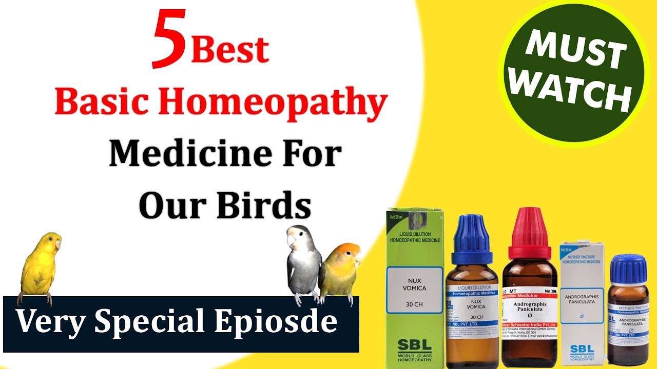 5 Best Basic Homeopathy Medicine For Our Birds. Benefits Of Homeopathy For Bird's Health. YouTube