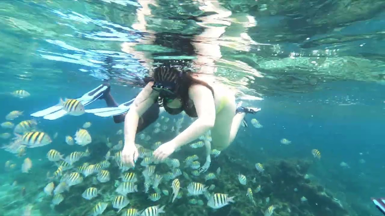 Glass bottom boat Jamaica 2025