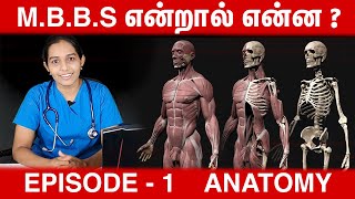 Mbbs    Anatomy  All About Mbbs  Episode1  Drsdivyadharshini