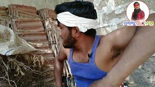 Gujju Love Guru New Comedy