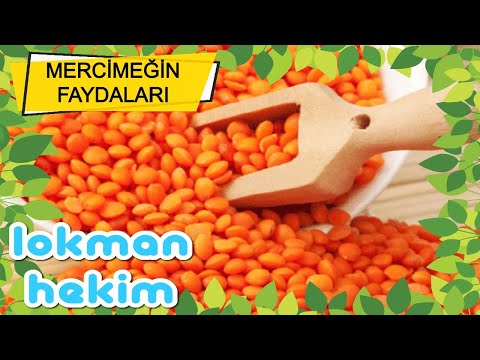 Video: Mercimek: Kadınlar Için Yararları Ve Zararları