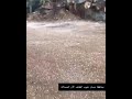 امطار وبرد الطائف