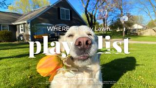 [playlist] Bring back spring🐶 Pop songs to brighten your day💿 Work music Cafe acoustic pop
