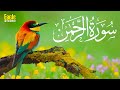 Surah rehman  holy quran  qari shakir qasmi  eagle stereo 