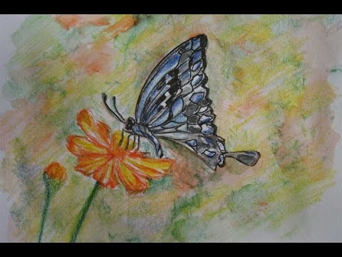  cara menggambar kupu kupu untuk pemula YouTube