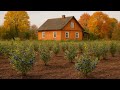 Реальный ФЕРМЕРСКИЙ ДЕНЬ | С чего начинается голубичная ферма?