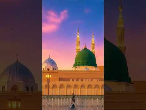 Kullo Maan Alaiha Haa Faan Shortvideo