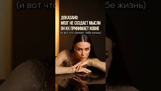 Доказано: мозг не создает мысли, он их принимает извне (и вот что ломает тебе жизнь)
