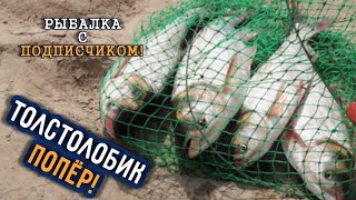 ТОЛСТОЛОБ НА СЫРДАРЬЕ ? На технопланктон и кашу! #ловлятолстолобика #рыбалкавузбекистане