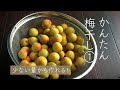 少量からでも作れる!ジップロックでかんたん自家製梅干し①#梅干し#umeboshi#japanesefood
