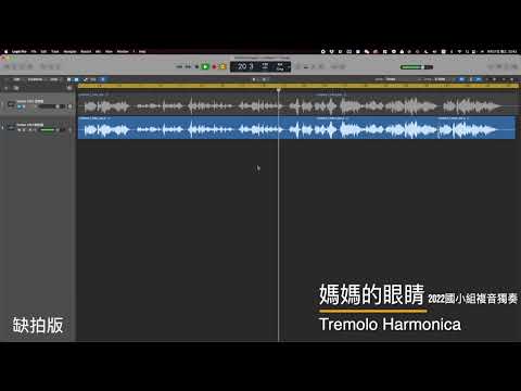 媽媽的眼睛｜2022 國小組 複音獨奏 指定曲（缺拍版本）｜ [ DMing Studio ]