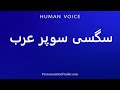 How To Pronounce سگسی سوپر عرب 