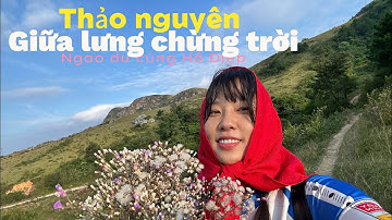 Có một thào nguyên giữa lưng chừng trời ở Bắc Giang. Đủ cho vài nghìn người camping| Ngao du cùng HĐ