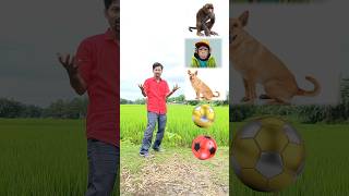 Football to monkey, dog, cat, elephant - Funny vfx new magic video