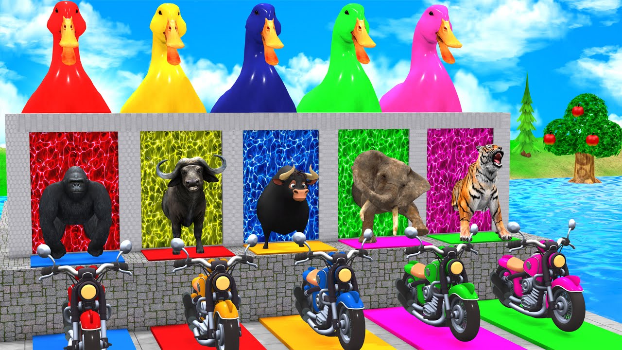 Funny Animal Race on Long Slide 😂 | Cow Elephant Gorilla Tiger 3D Game