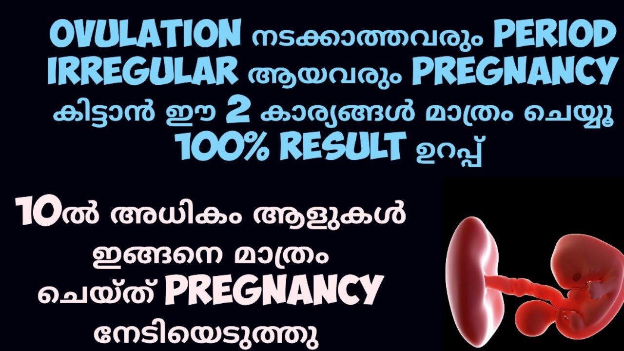 successful-pregnancy-tip-deechus-world-malayalam-cinnamon-8