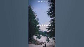 سورة الشورى| هيثم الدخين🖤