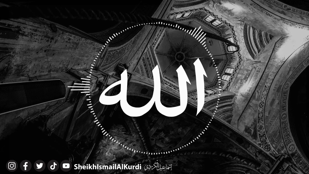 الحضرة من مجلس الذكر يوم الجمعة 10-5-2024 زاوية الشيخ محمد سعيد الكردي رحمه الله