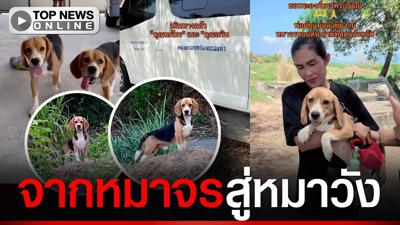 นาที “นภัทร-ณริน“ รถมารับเข้าวัง “ในหลวง” ทรงรับเลี้ยงหลังถูกทิ้ง