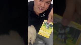 This Dog Bites a 1st edition Shadowless Charizard Pokemon card