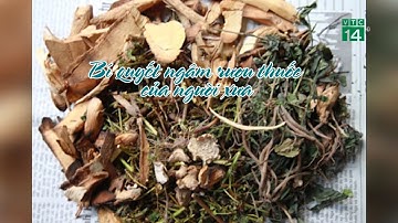 Bí quyết ngâm rượu thuốc của người xưa| VTC14